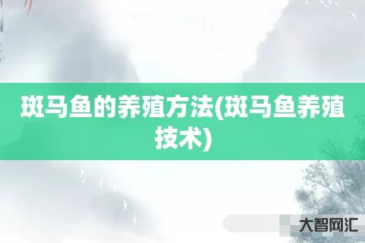 斑马鱼的养殖方法(斑马鱼养殖技术) 斑马鱼的养殖方法(斑马鱼养殖技术)