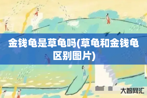 金钱龟是草龟吗(草龟和金钱龟区别图片) 金钱龟是草龟吗(草龟和金钱龟区别图片)