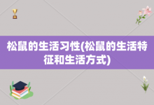 松鼠的生活习性-松鼠的生活特征和生活方式-大智网汇