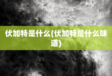 伏加特是什么-伏加特是什么味道-大智网汇