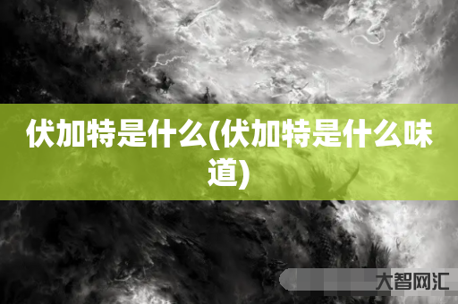 伏加特是什么(伏加特是什么味道) 伏加特是什么(伏加特是什么味道)