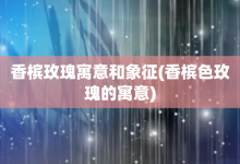 香槟玫瑰寓意和象征-香槟色玫瑰的寓意-大智网汇