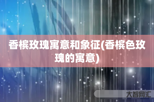 香槟玫瑰寓意和象征(香槟色玫瑰的寓意) 香槟玫瑰寓意和象征(香槟色玫瑰的寓意)