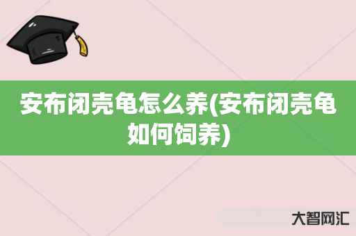 安布闭壳龟怎么养(安布闭壳龟如何饲养) 安布闭壳龟怎么养(安布闭壳龟如何饲养)