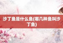 沙丁鱼是什么鱼-哪几种鱼叫沙丁鱼-大智网汇
