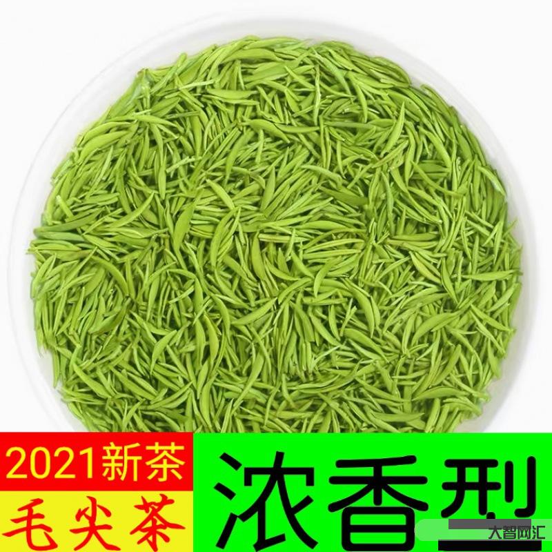 毛尖属于什么茶