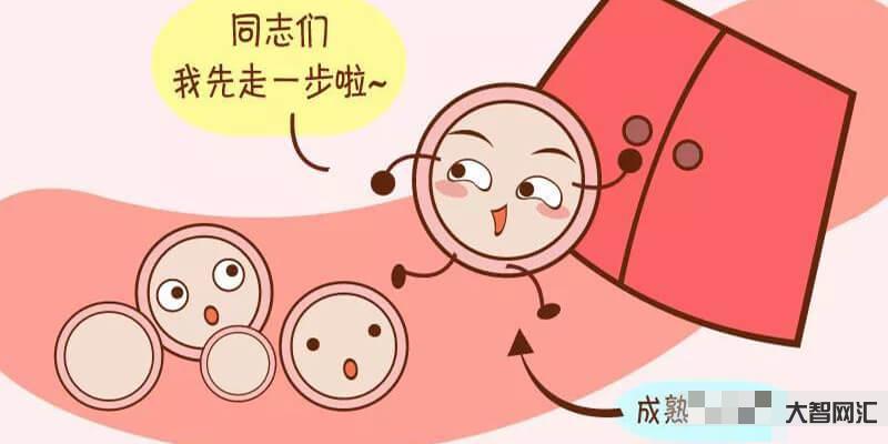 1、黄体破裂是怎么回事?