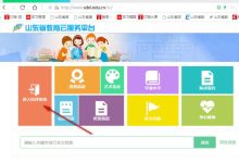山东省综合素质评价登录入口-山东省云服务平台点滴记录在哪登录-大智网汇