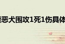 六旬夫妇遭恶犬围攻1死1伤-幼童被恶犬围攻,善良奶奶救孩子,要么我被吃-大智网汇