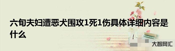 六旬夫妇遭恶犬围攻1死1伤