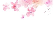 花瓣网免费素材图库-花瓣网的素材是免费的吗?-大智网汇