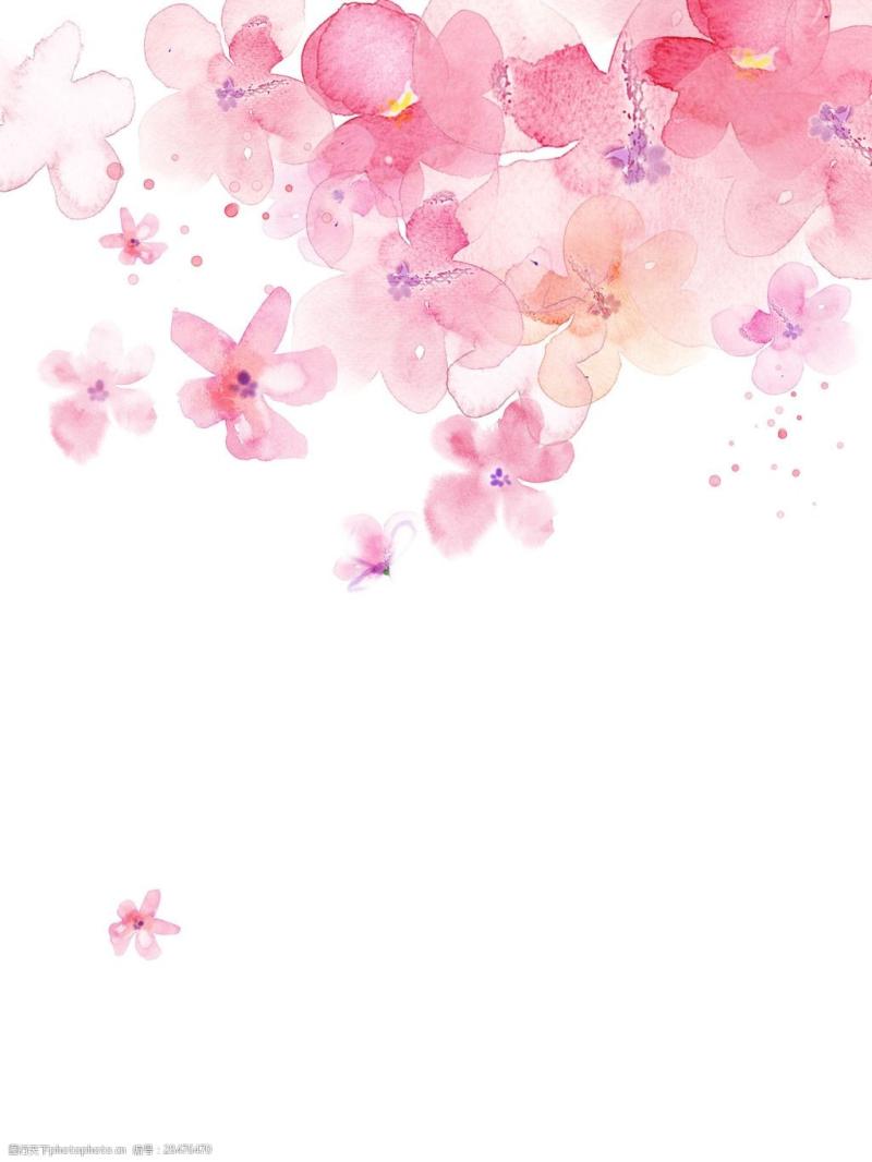 花瓣网免费素材图库