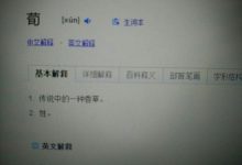 荀怎么读-荀这个字怎么读-大智网汇