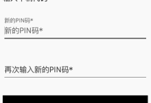 pin码是什么-Pin码是什么?-大智网汇