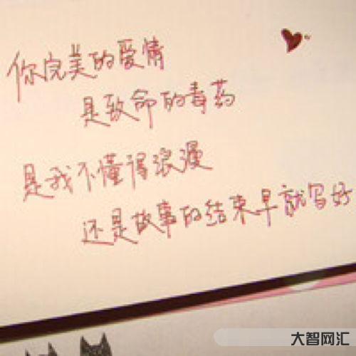 纯情是什么意思