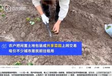 上海掀起租地种菜热:1500元一年-在上海租地种菜一年多少收入,会不会-大智网汇