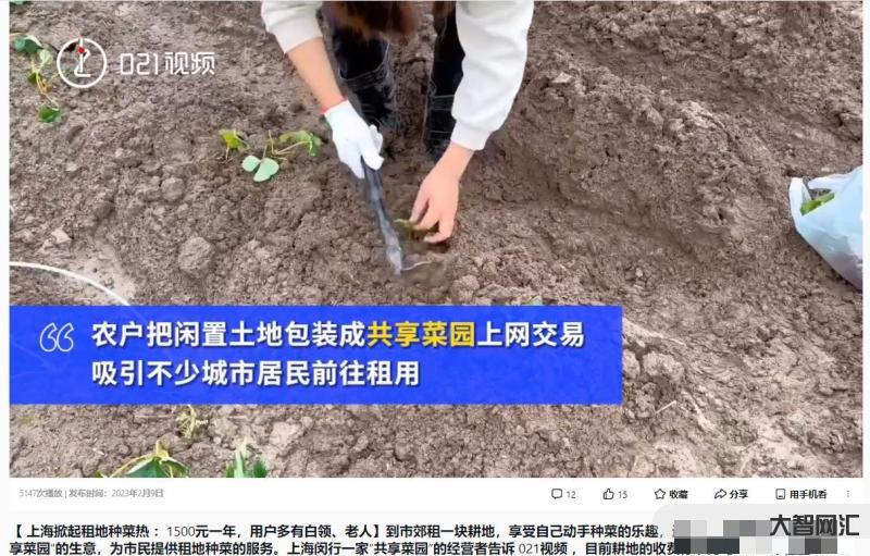 上海掀起租地种菜热:1500元一年
