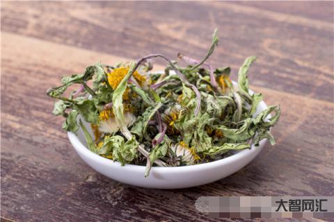 蒲公英茶的功效与作用