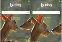 必应国际版-Bing国际版英文搜索-大智网汇