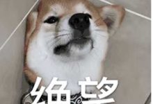 《三体》中有什么巧妙的伏笔和细节?-大智网汇