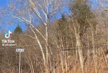 美国俄亥俄州氯乙烯泄露,居民紧急撤离,记者直播报道时被捕,具体情况如何?氯乙烯泄露有多严重?-大智网汇