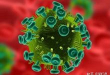 hiv是什么病毒-hiv是什么 hiv解释-大智网汇