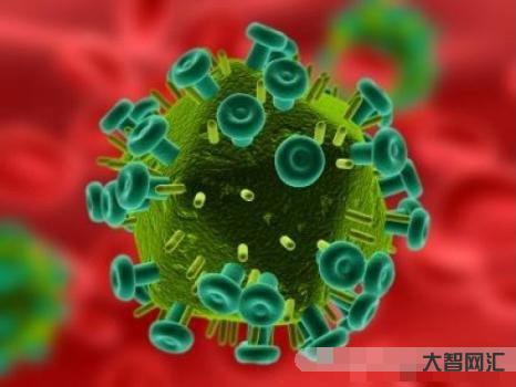 2、什么病毒是艾滋病毒?DNA还是RNA?