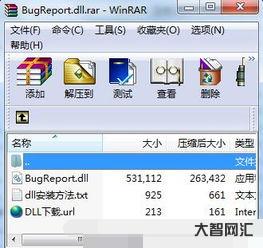 给大家科普下bugreport(bugreport可以删除吗)-大智网汇