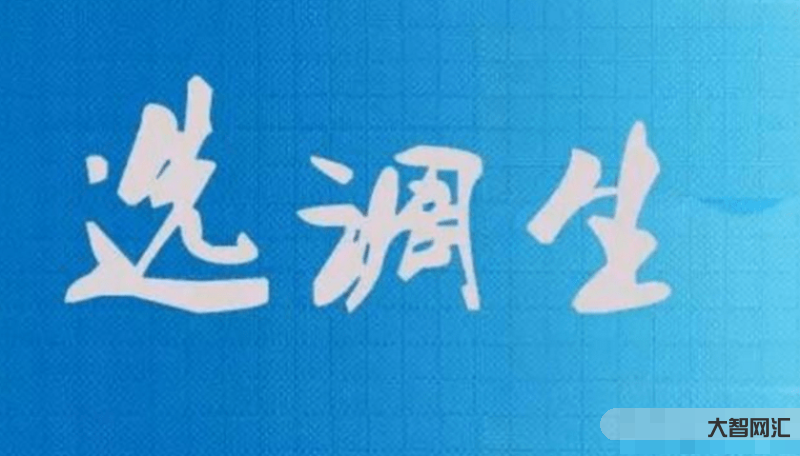 选调生是什么意思啊-选调生是什么意思呢?-大智网汇