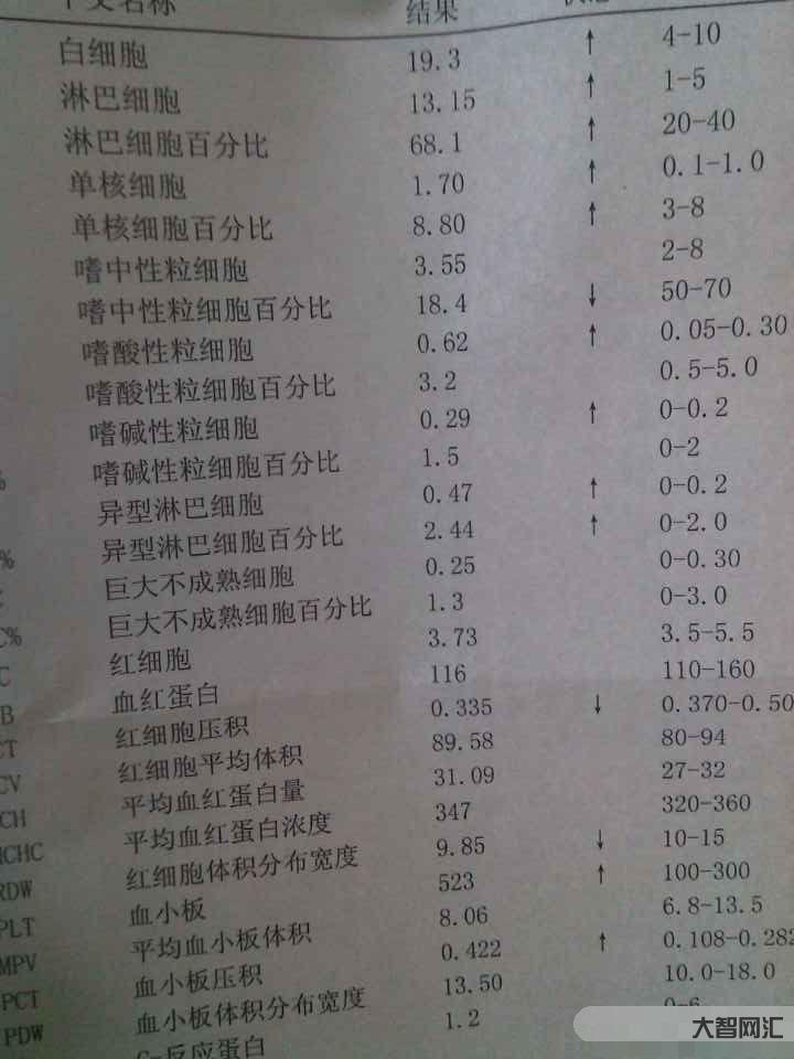 白细胞高说明什么-白细胞偏高有什么危害-大智网汇