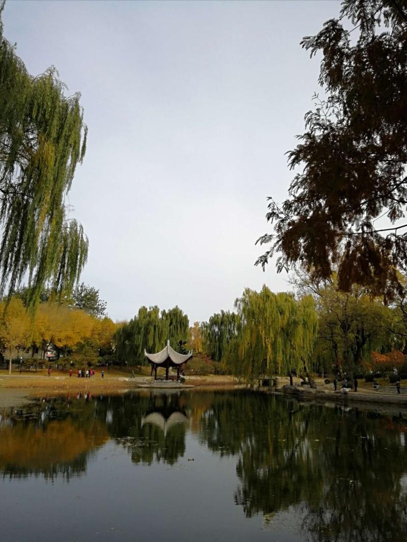 拍景色手机买哪些2018-瑞雪兆丰年 拍雪景这四款手机必不可少