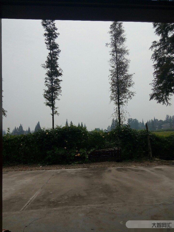 南县极端天气预警-@益阳人 多地遭遇极端天气,请务必注意安全-大智网汇