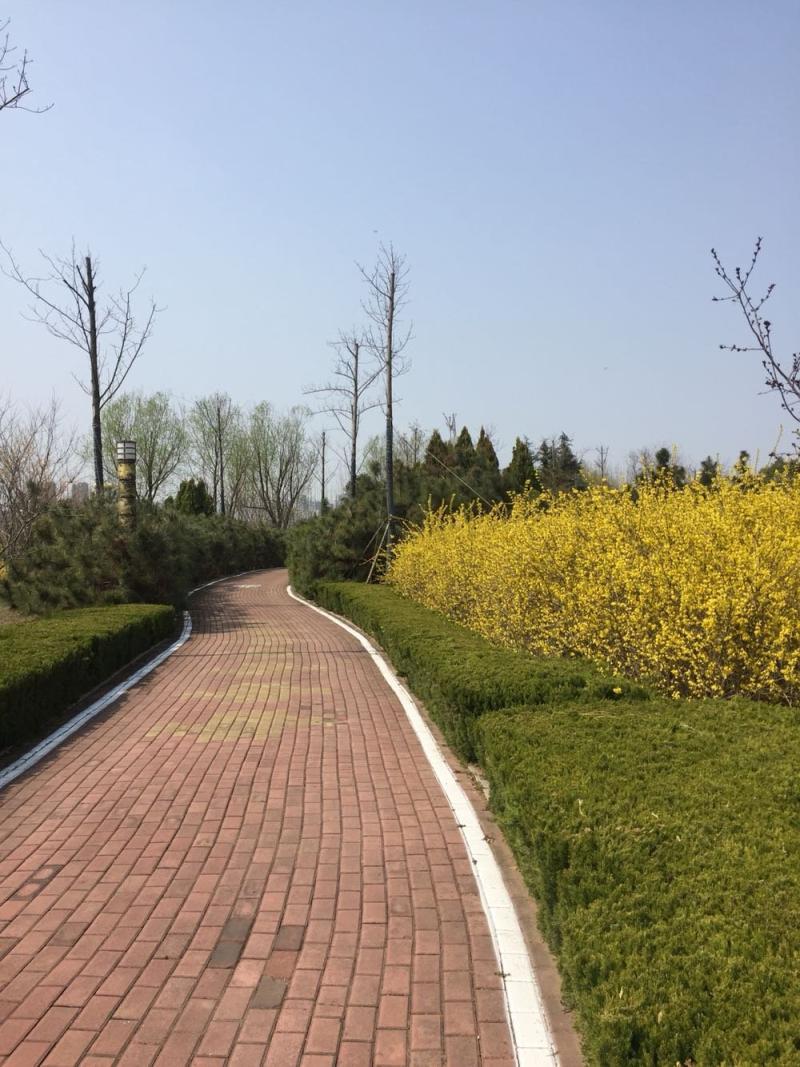 最新气温临沂-临沂市气象台继续发布寒潮蓝色预警-大智网汇