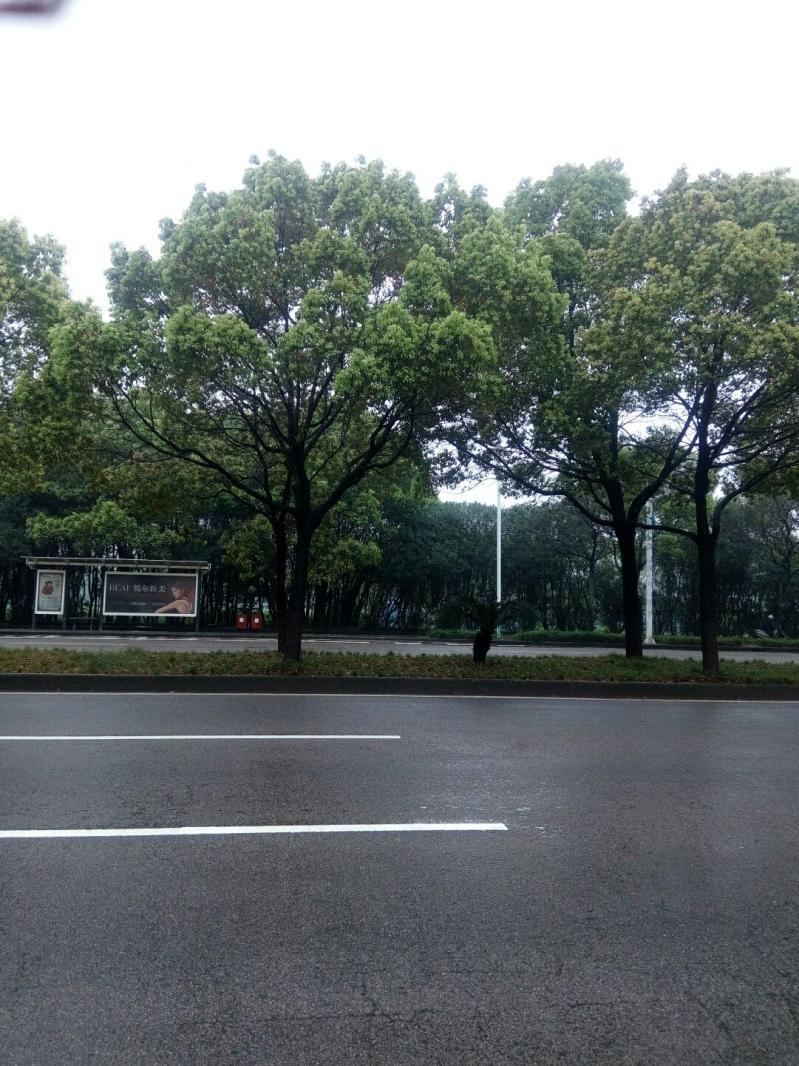 慈溪的小广场-慈溪公安夜市开起“警民小铺”