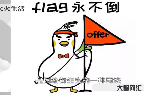 flag是什么意思-flag是什么意思中文-大智网汇