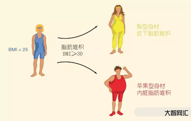 吸脂肪对身体有害吗-抽脂会不会对身体有危害?-大智网汇