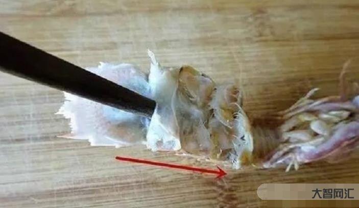 给大家科普下皮皮虾如何快速剥皮 给大家科普下皮皮虾如何快速剥皮