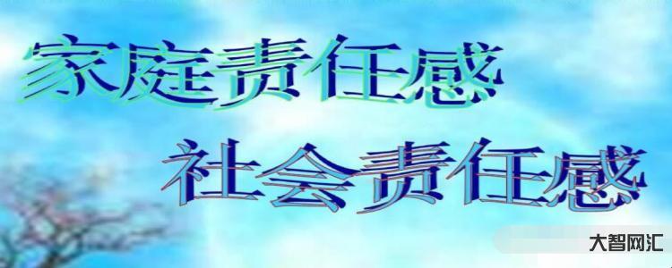 给大家科普下社会责任感是什么意思-大智网汇