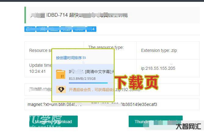 【实测可用】最新p2psearcher种子搜索神器 网页平替版适配手机电脑