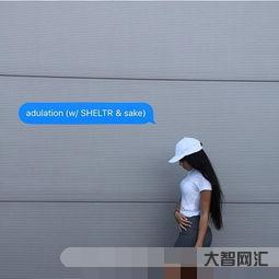 给大家科普下adulation(adulation和admiration的区别)-大智网汇
