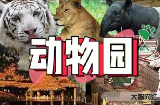 暑假带娃宝宝出去旅游,有哪些推荐一些适合的目的地?-大智网汇