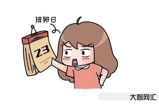 排卵期怎么算才最准确?排卵期内怎么同房怀孕机率高-大智网汇