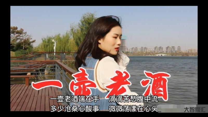 陈佑明的一壶老酒-清明节回四川老家看奶奶，《一壶老酒》送给天下最辛苦的