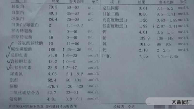 碱性磷酸酶偏高是什么意思-提问:肝功能检查碱性磷酸酶高是什么意思-大智网汇