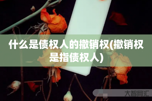 给大家科普下什么是债权人的撤销权-撤销权是指债权人-大智网汇