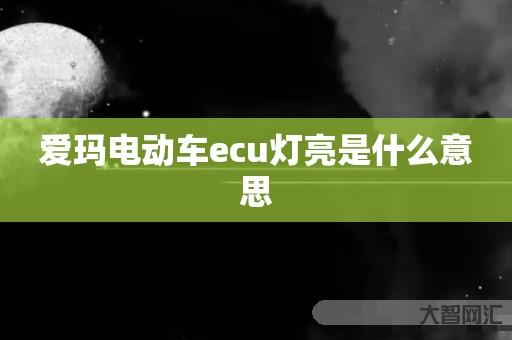 谁知道爱玛电动车ecu灯亮是什么意思-大智网汇