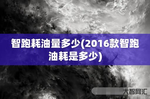 谁知道智跑耗油量多少-2016款智跑油耗是多少-大智网汇