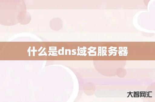 给大家科普下什么是dns域名服务器-大智网汇