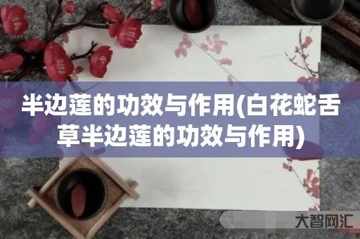 给大家科普下半边莲的功效与作用-白花蛇舌草半边莲的功效与作用-大智网汇