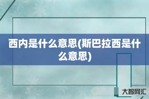 谁知道西内是什么意思-斯巴拉西是什么意思-大智网汇